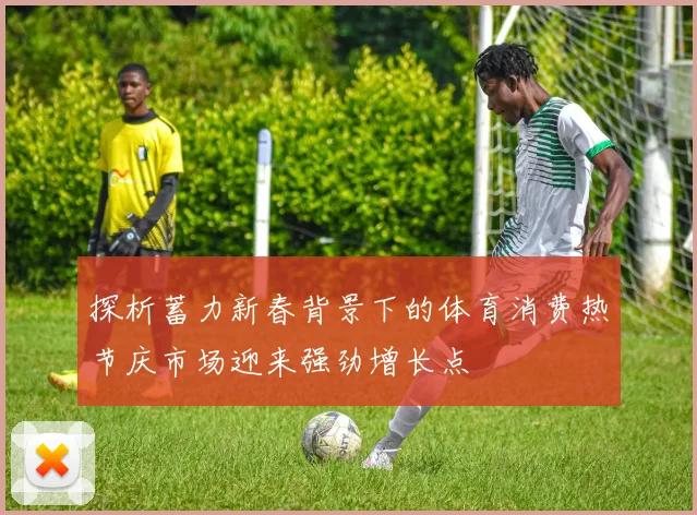 探析蓄力新春背景下的体育消费热节庆市场迎来强劲增长点