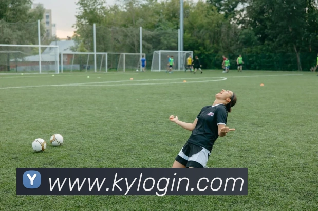 开云体育发展历程